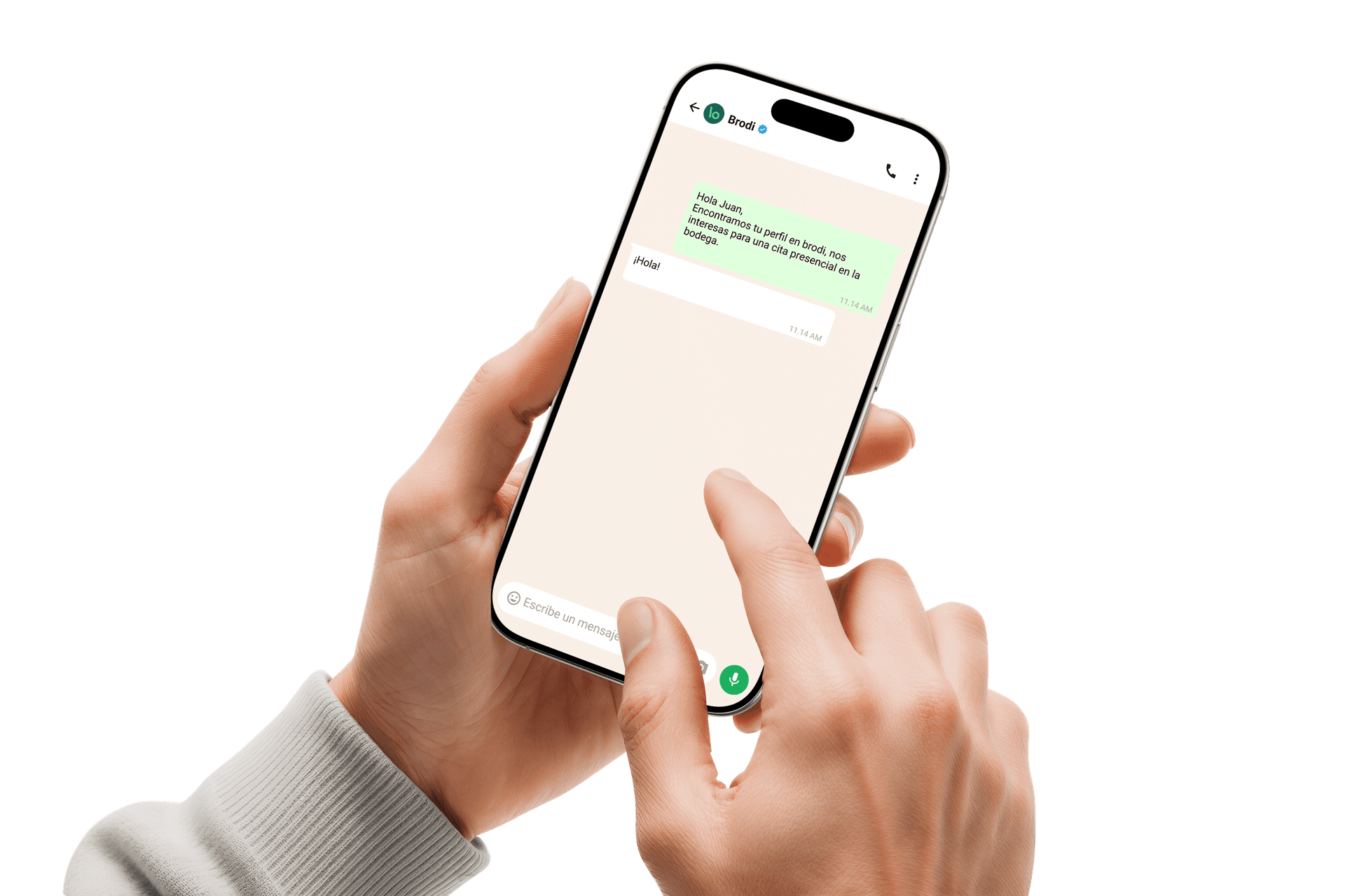 Mockup Brodi